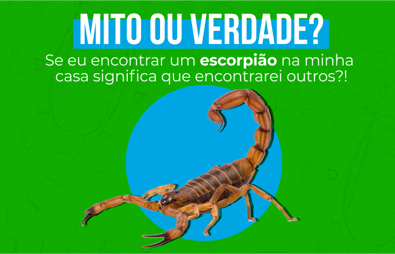 Porque não pode matar Escorpião?